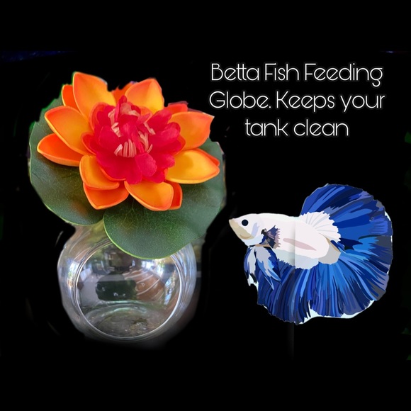 Betta fish feeding globe for frozen foods - Picture 8 of 12